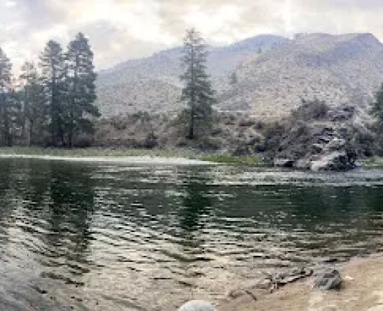 Elk Bar Campground