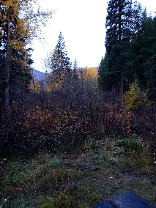 War Creek Campground 6