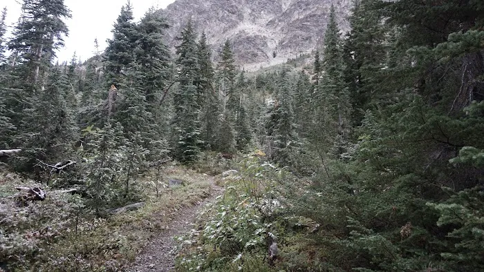 South Fork Campground 6