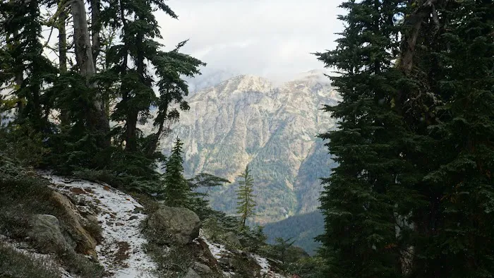 South Fork Campground 9