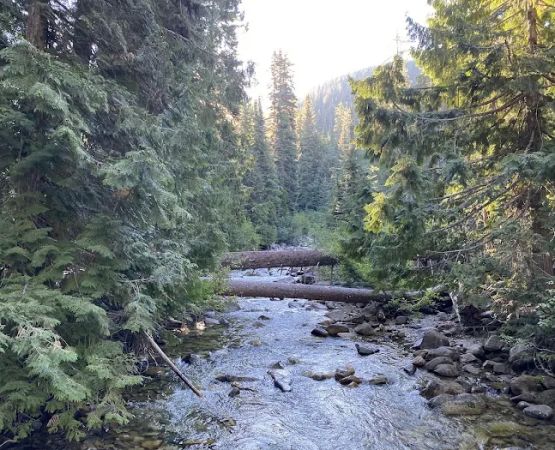South Fork Campground