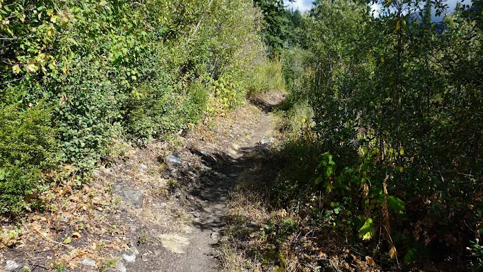 South Fork Campground 4