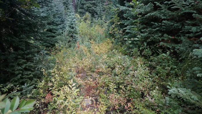 Dan's Campground 2