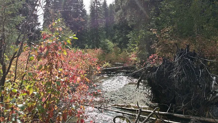 Flat Campground 8