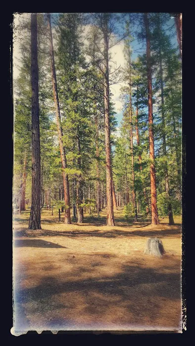 Chewuch Campground 2