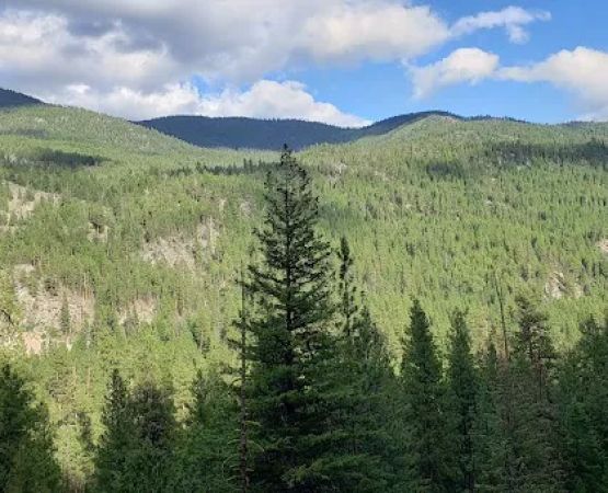 Falls Creek Campground