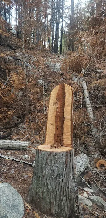 Falls Creek Campground 6