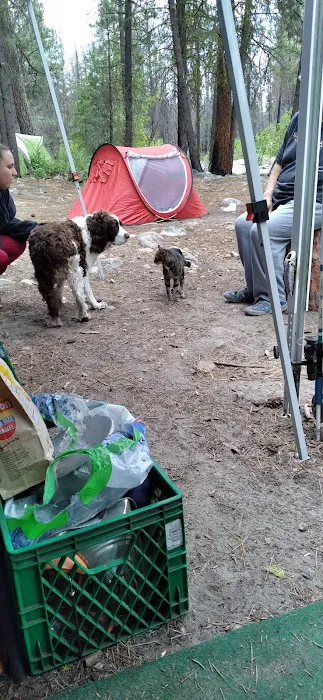 Boulder Creek Campground 3