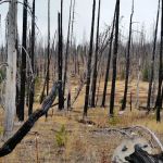 Tiffany Springs Campground