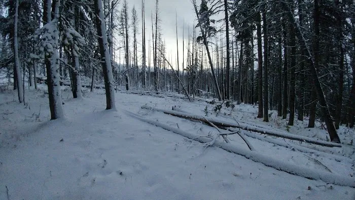 Tiffany Springs Campground 8