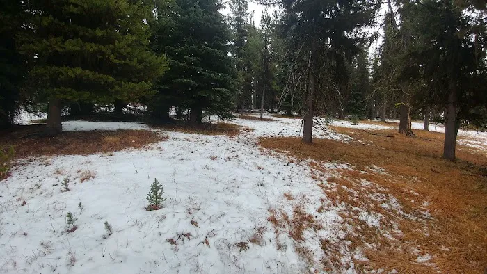 Tiffany Springs Campground 5