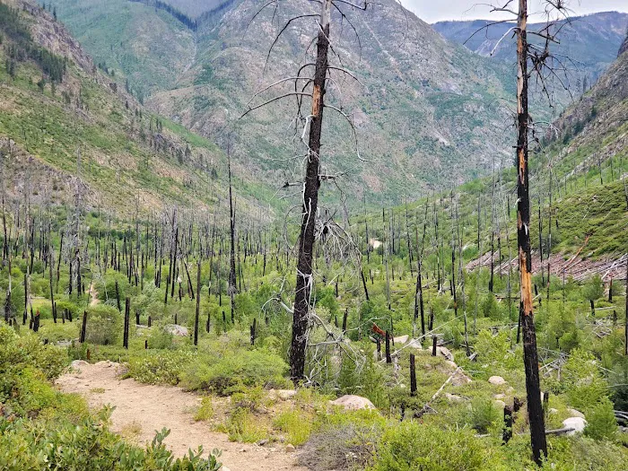 Thirtymile Trailhead 6