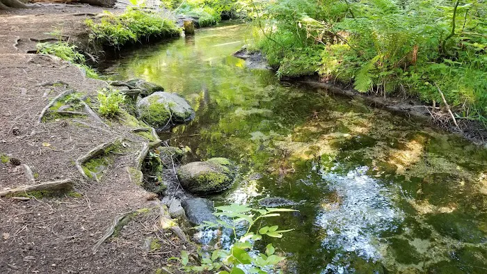 Bridge Creek Campground 3