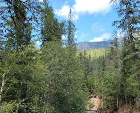Tricouni Campground