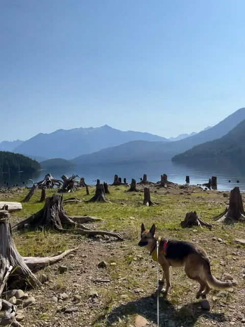 Rainbow Point Campground 0