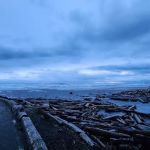 Beverly Beach State Park Campground