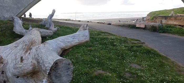 Beverly Beach State Park Campground 5