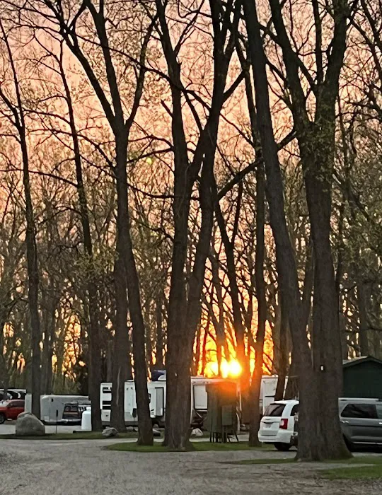 River Raisin Marina & Campground 9