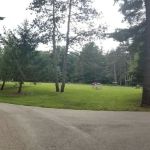 Camp Miakonda, Scouting America - Erie Shores Council