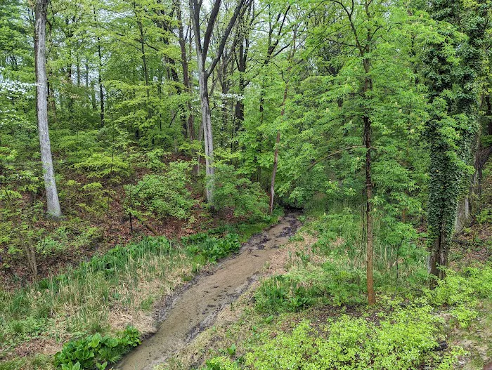 Camp Miakonda, Scouting America - Erie Shores Council 5