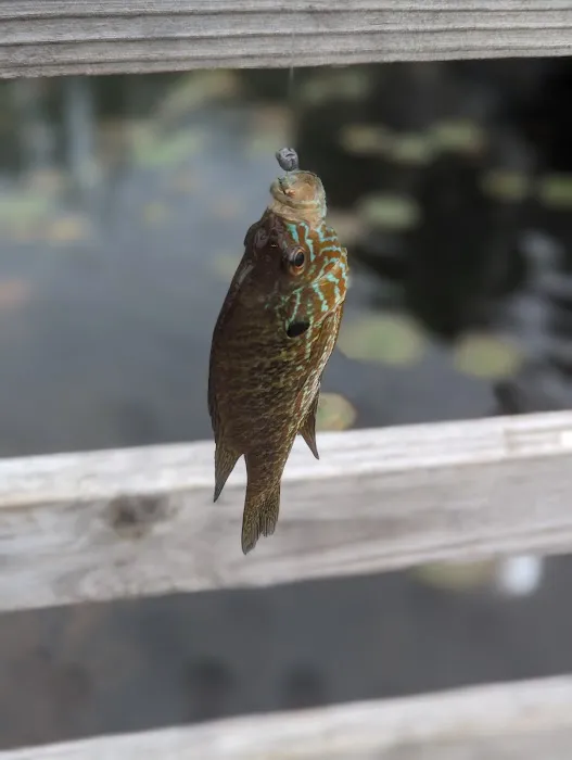 Otter Lake Village Campground 3