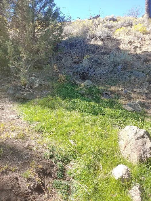 Old Sheep Bridge Crossing 9