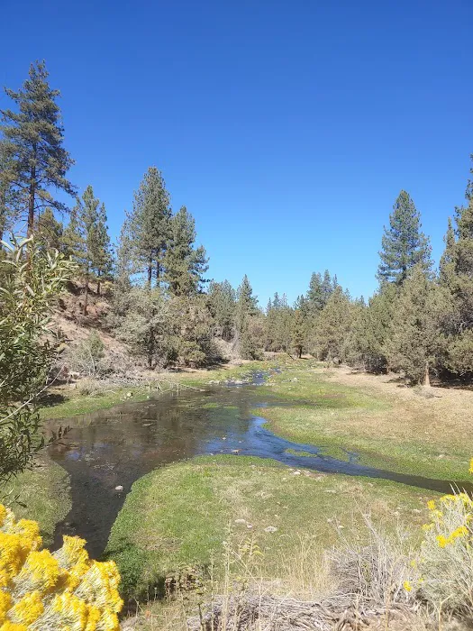 Old Sheep Bridge Crossing 8