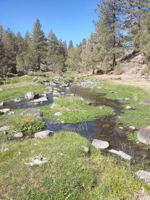 Old Sheep Bridge Crossing 3