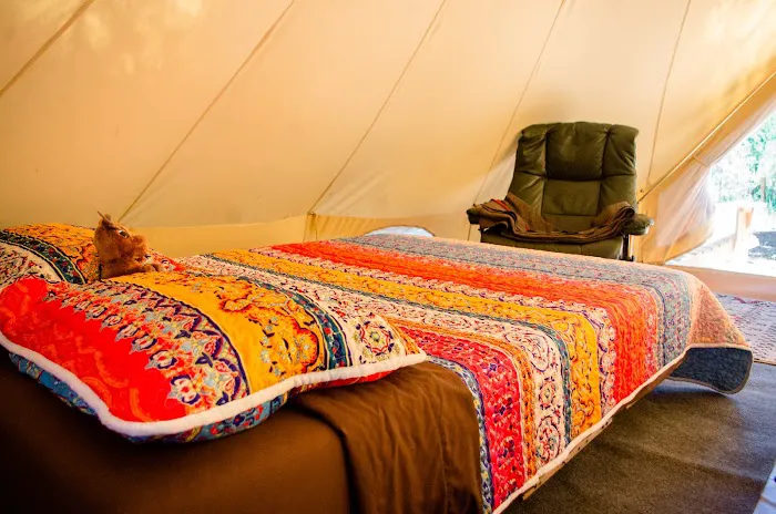 Wild Plumas Resort and Campground 6