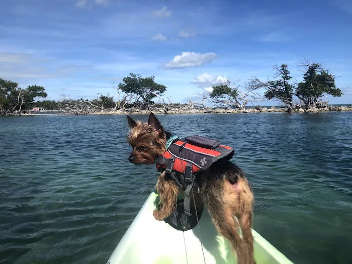 Temple Knoll Island 1
