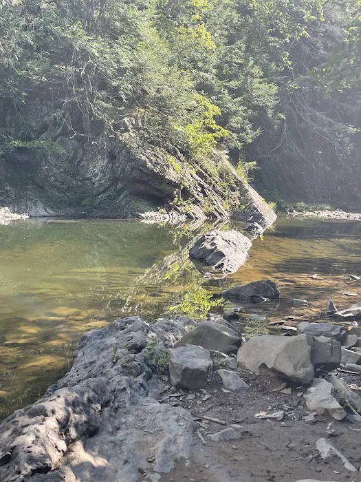 Green Ridge campsite 84 2