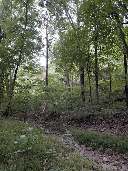 Green Ridge campsite 84 1