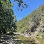 Green Ridge campsite 84