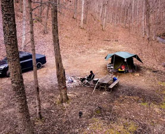 Green Ridge State Forest Campsite #85
