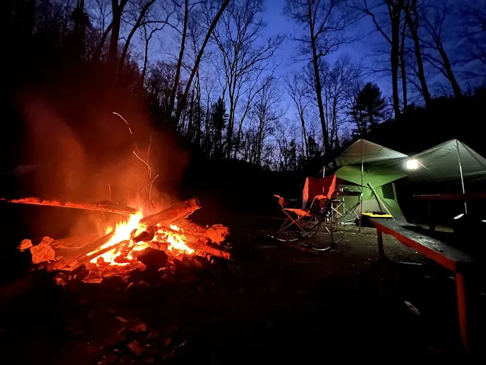 Green Ridge State Forest Campsite #85 5