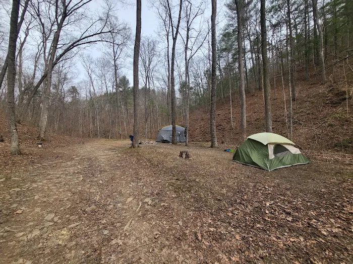 Green Ridge State Forest Campsite #85 9