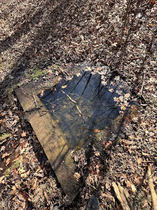 Green Ridge State Forest Campsite #85 2