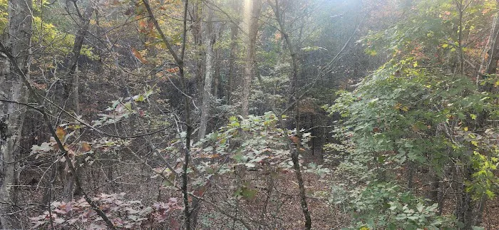 Campsite 78 3