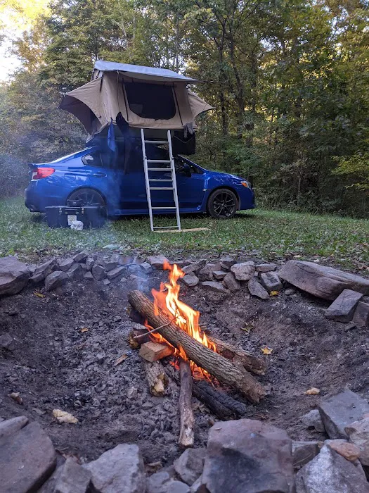 Campsite 78 6