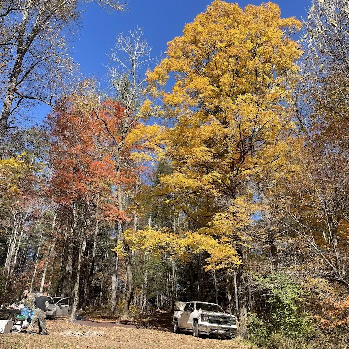 Campsite 78 9