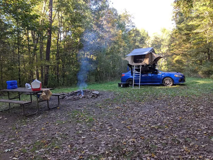 Campsite 78 0