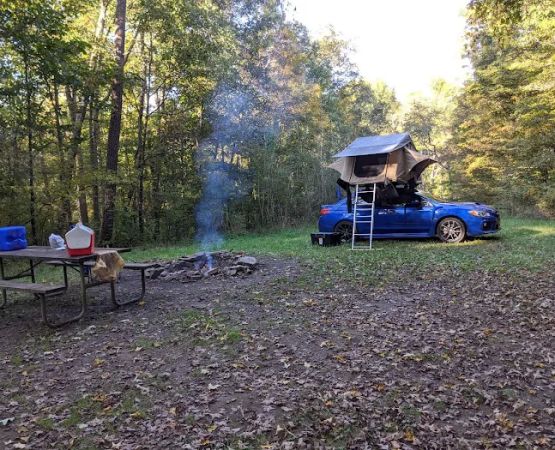 Campsite 78