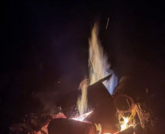 Campsite 77