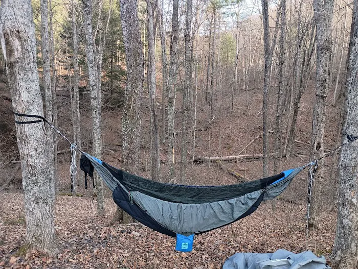 Campsite 77 3