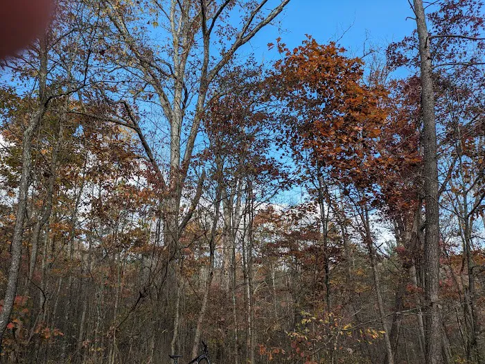 Campsite 77 5