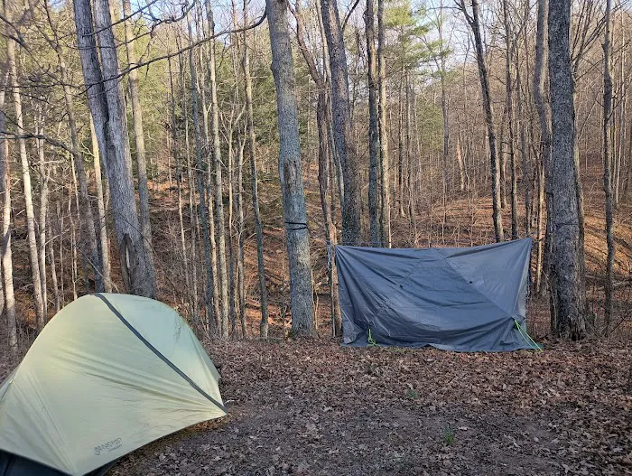 Campsite 77 2