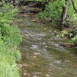 Choice Camping Court