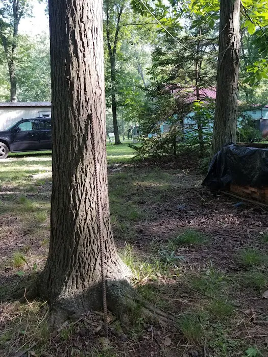 Shellbark Campground 3