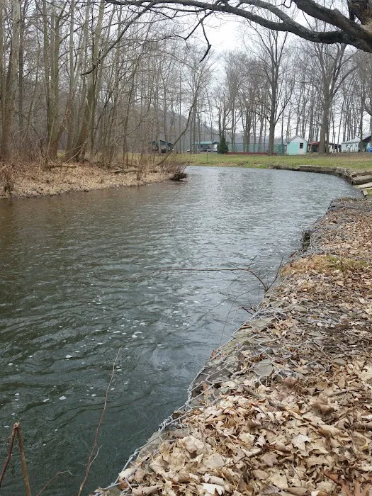 Shellbark Campground 2