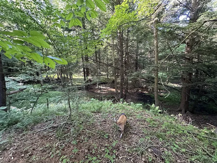 Boyers Pond Campground 0